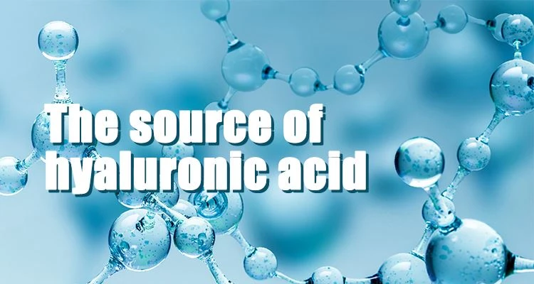 The source of hyaluronic acid